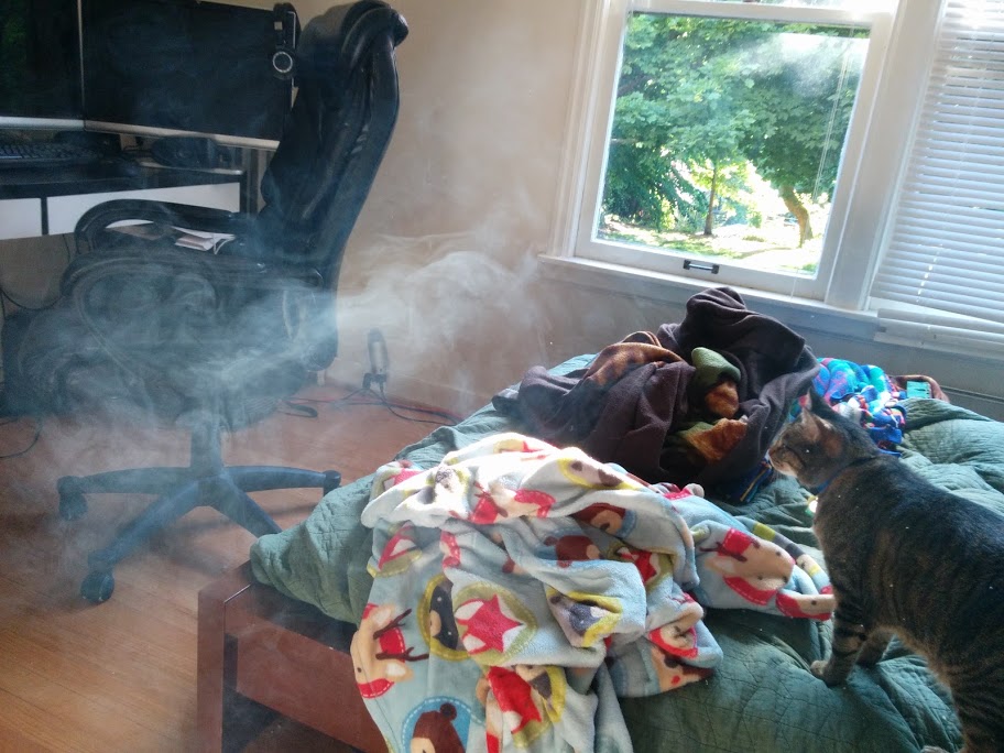 little bro cloud watching