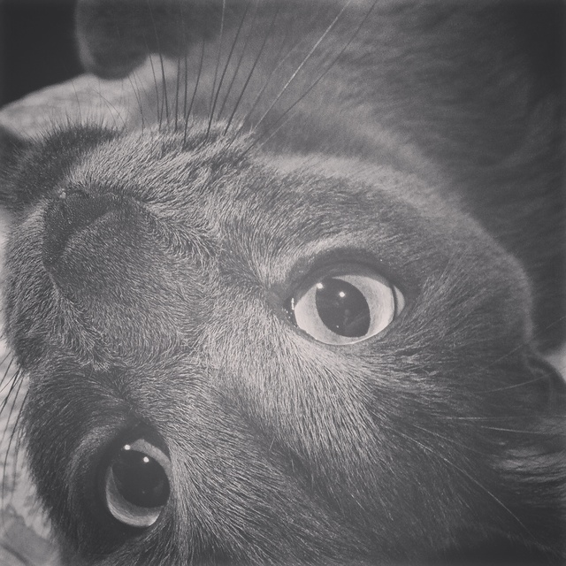 Img 20150906 230027